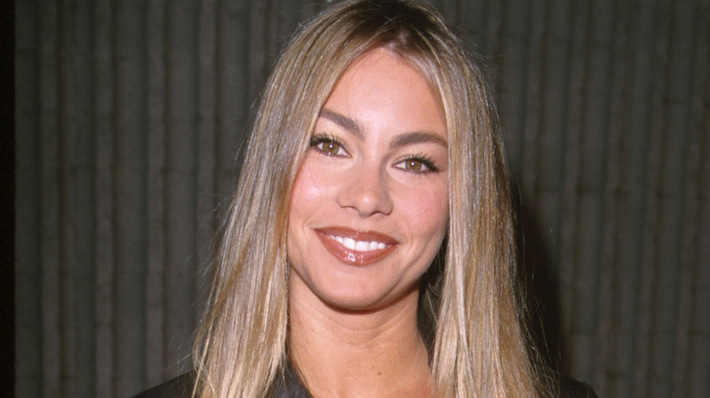 Sofia Vergara smiles