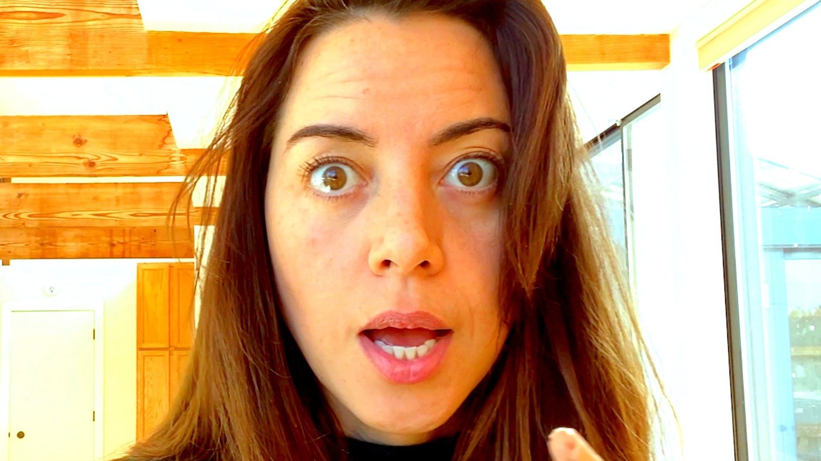 The Transformation Of Aubrey Plaza From Childhood To Parks And Recreation, image size:1600x898