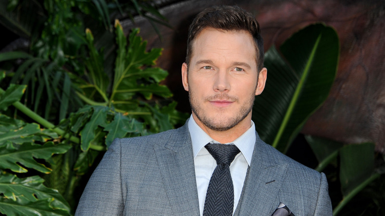 The Transformation Of Chris Pratt From Childhood To Parks And Recreation