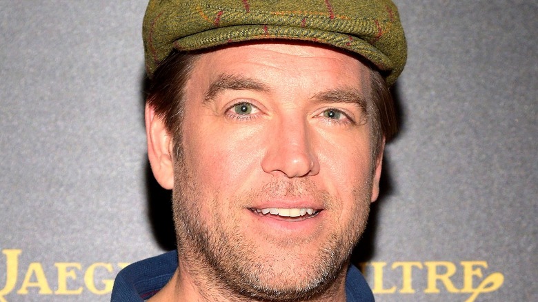 Michael Weatherly smiling