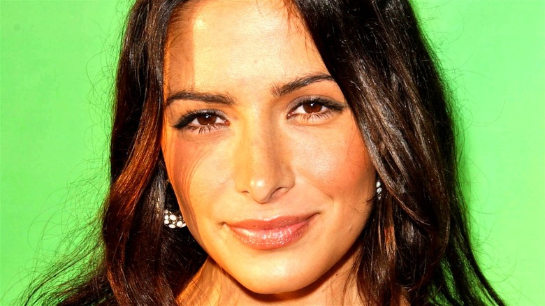 Sarah Shahi smiling