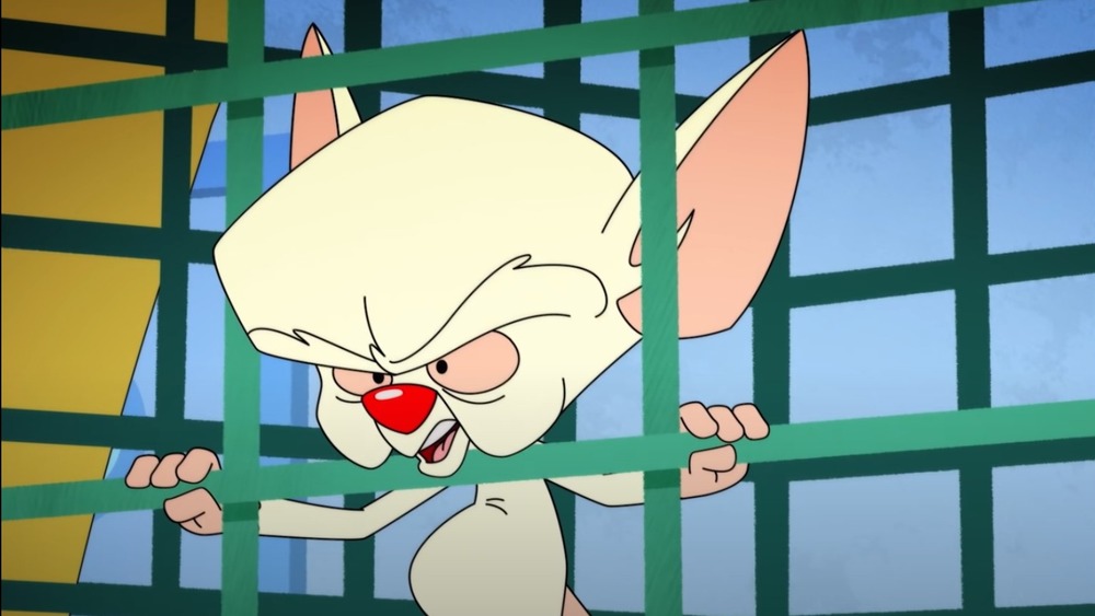 The Brain on Hulu's Animaniacs