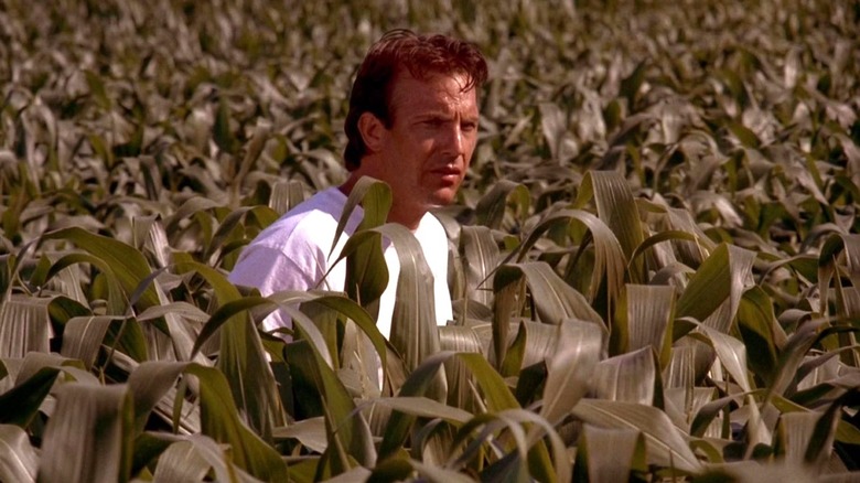Ray Kinsella stands in a cornfield in Field of Dreams