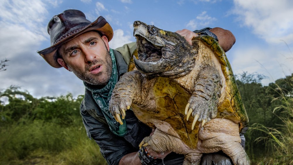 Coyote Peterson and a snapping turtle