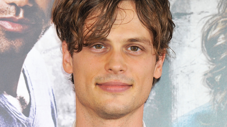 Matthew Gray Gubler smiling
