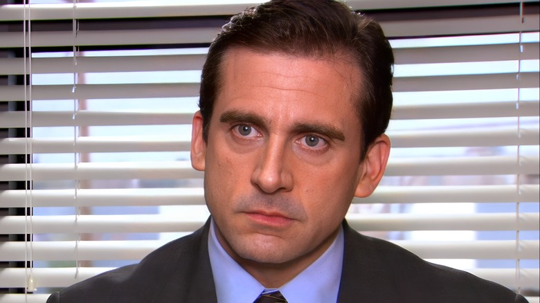 The Office Michael Scott talking head interview