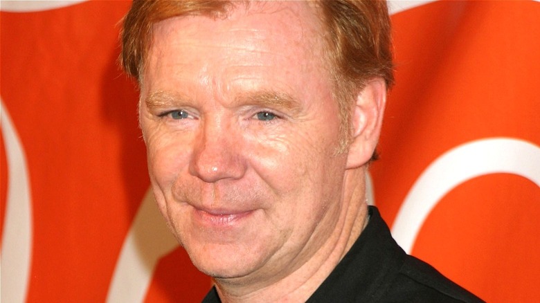 David Caruso smirking