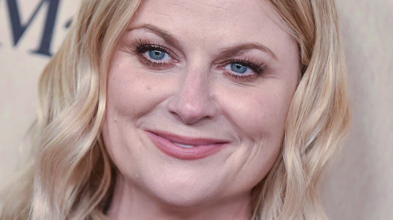 Amy Poehler smiling
