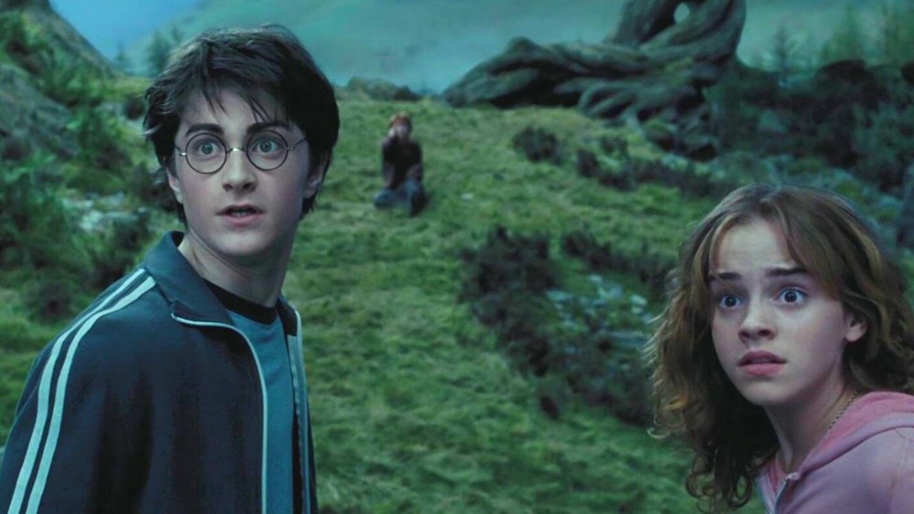 Harry and Hermione looking surprised near the Whomping Willow