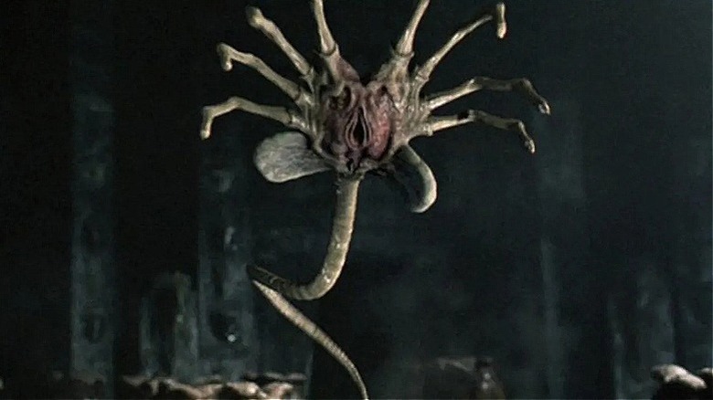 A facehugger leaping through the air