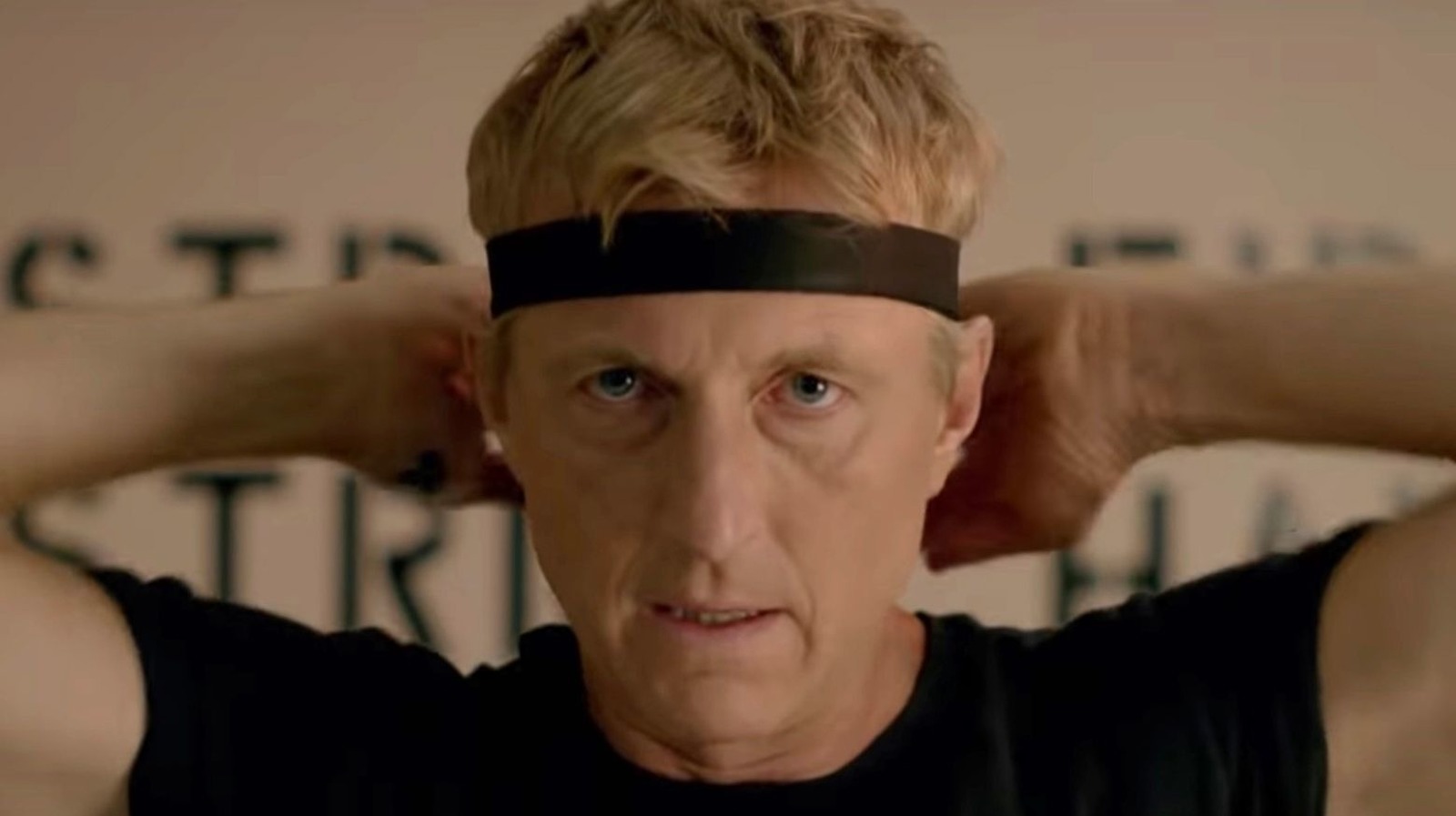 Just How Much Karate Do the Stars of 'Cobra Kai' Actually Know? - TheWrap