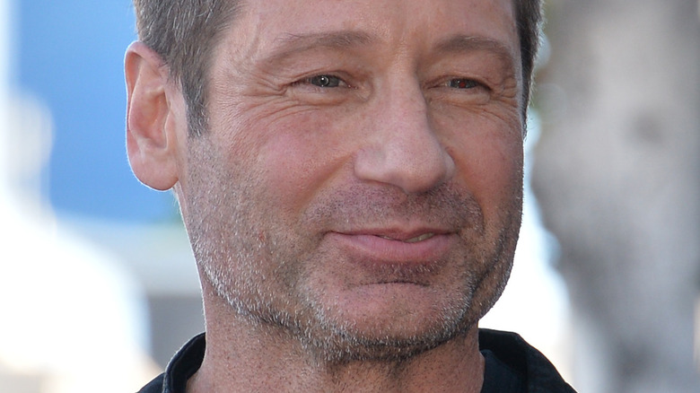 David Duchovny smiles