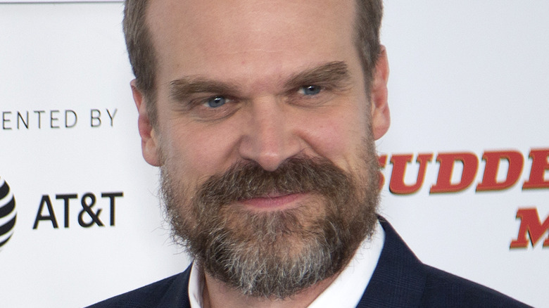 David Harbour at premiere