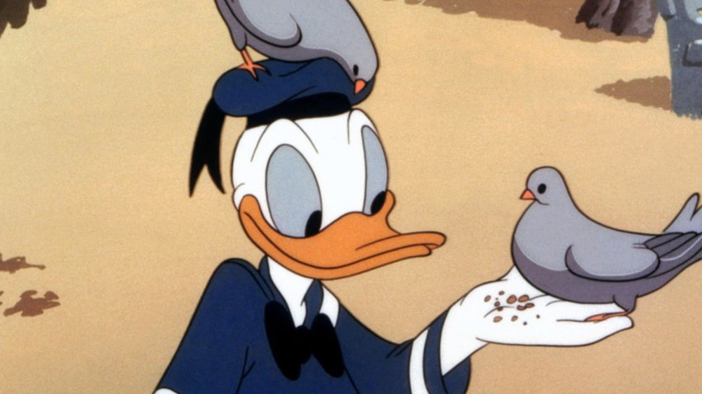 Donald Duck feeds the birds