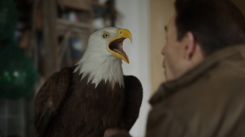 Eagly meeting Peacemaker