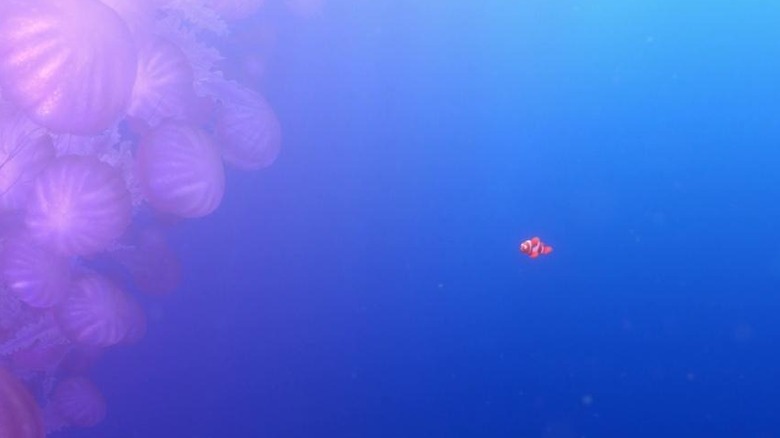 Marlin holding egg