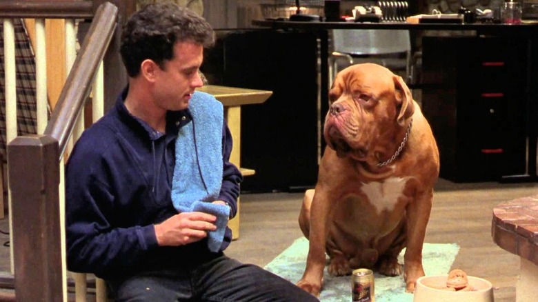 Turner & Hooch