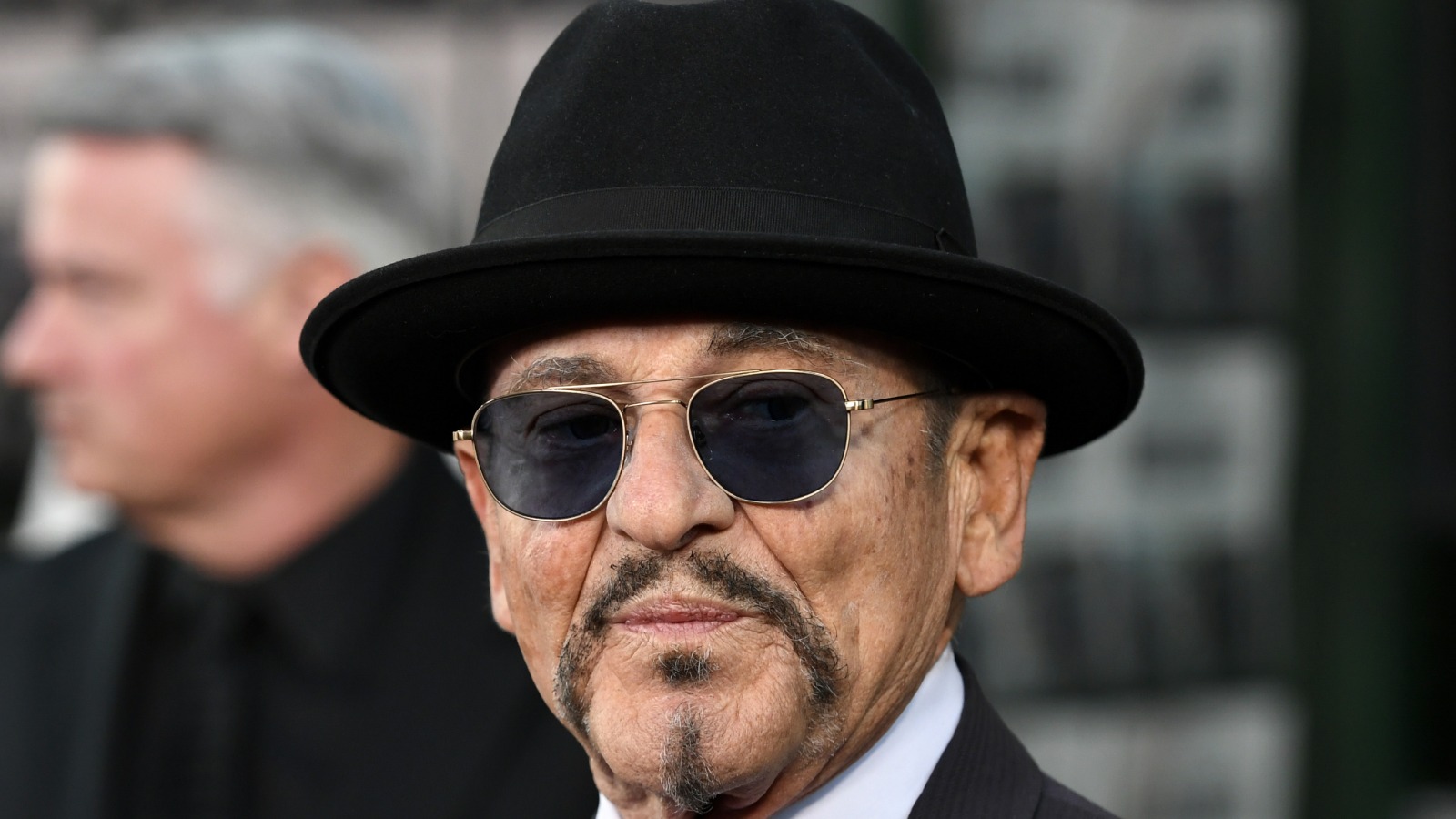Inside Joe Pesci's Music Career From Songs With Frankie Valli to Jersey  Boys and Adam Levine