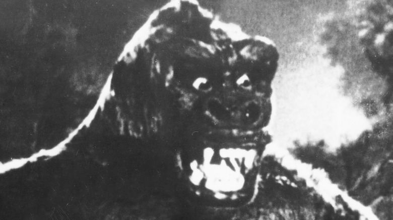 Close-up on King Kong