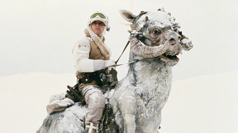 Mark Hamill