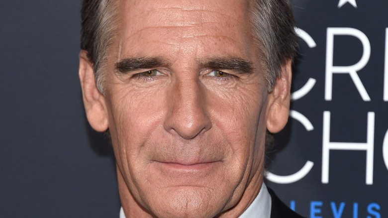 Scott Bakula poses