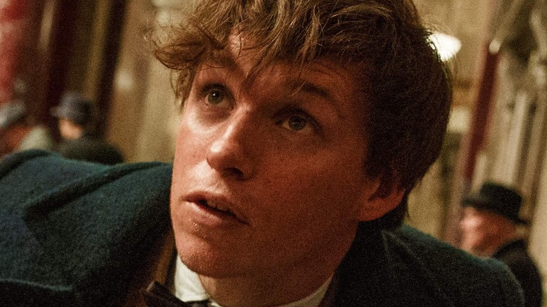 Newt Scamander in close-up, looking up