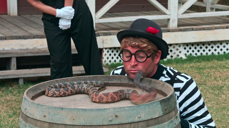 A snake lunging at Poopies