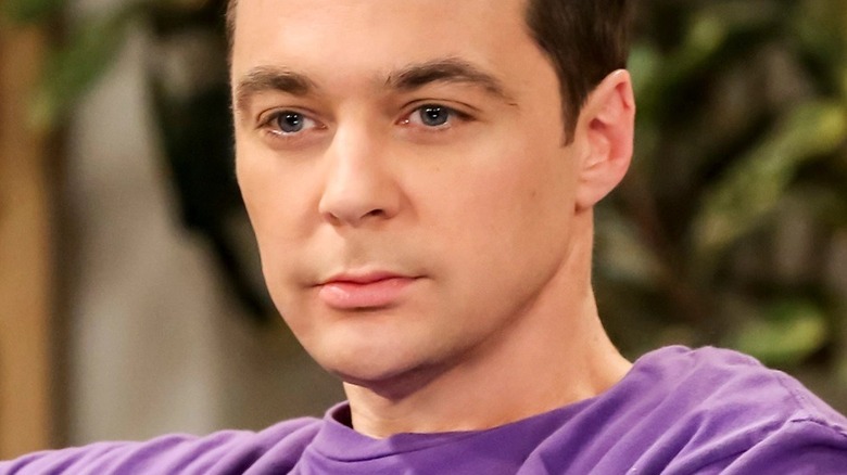 Jim Parsons, Big Bang Theory