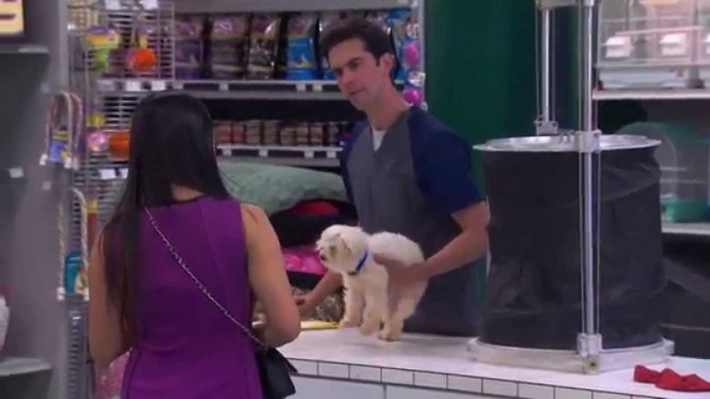 The Carbonaro Effect