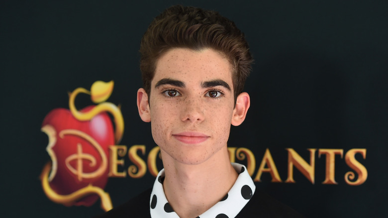 The Untold Truth Of The Late Cameron Boyce