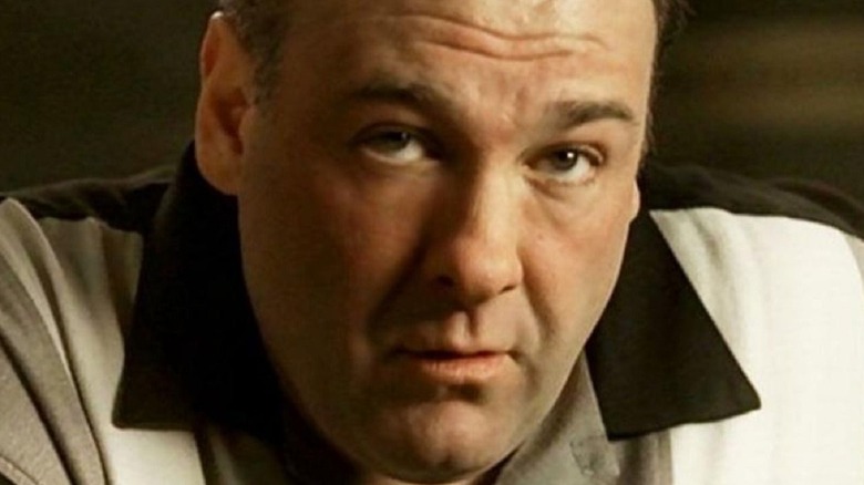 James Gandolfini as Tony Soprano