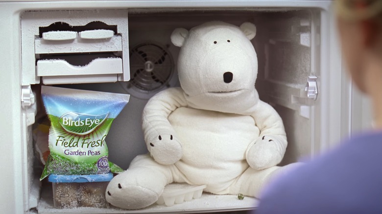 stuffed bear in freezer