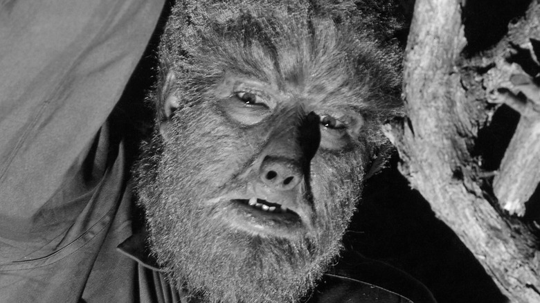 Wolf Man poster