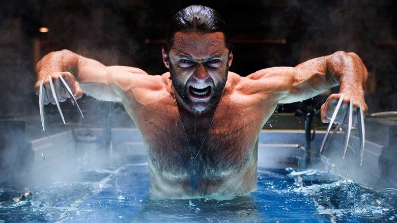 Wolverine displaying claws