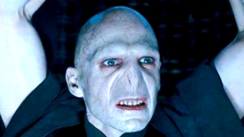 So Did Voldemort, Apparently, Harry Potter
