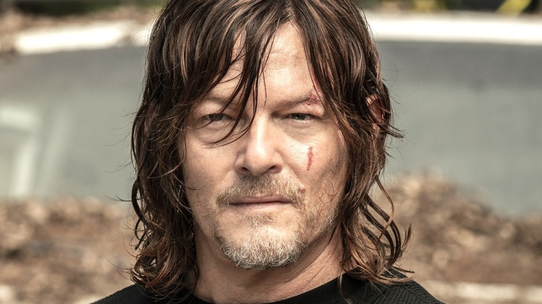 Norman Reedus as Daryl Dixon