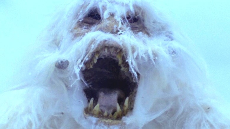 A Wampa yelling