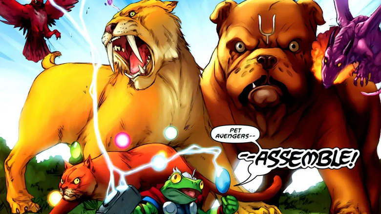 Pet Avengers assembling