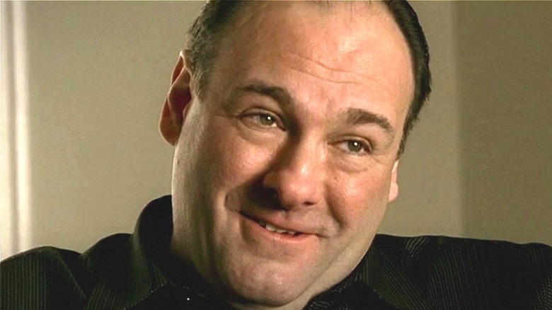 James Ganolfini as Tony Soprano in The Sopranos