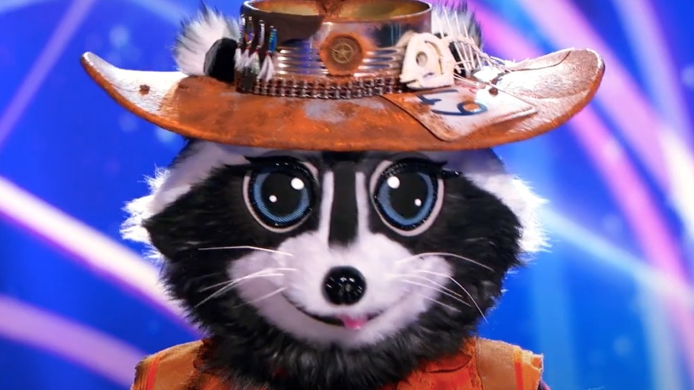 The Raccoon on The Masked Singer