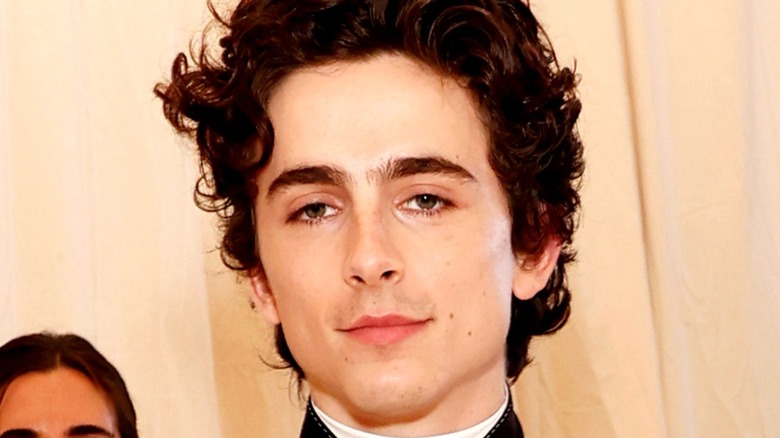 Timothée Chalamet at the 2021 Met Gala