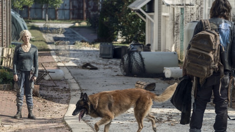 Daryl and Carol look at each other while Dog walks