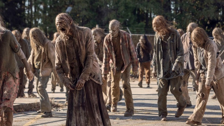 A group of walkers wandering