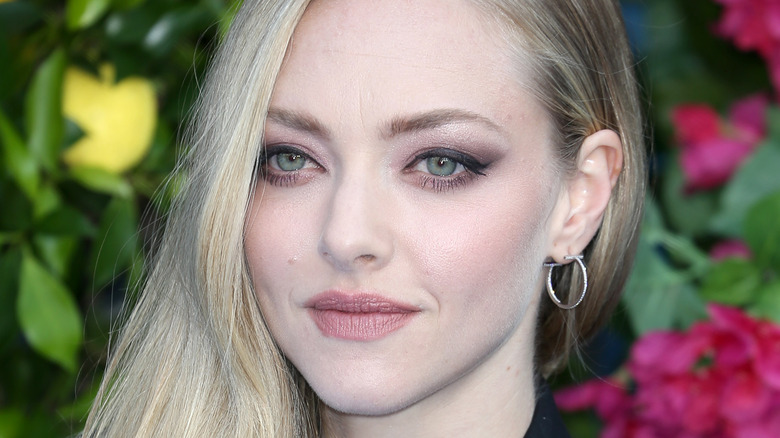 Amanda Seyfried smirking slightly