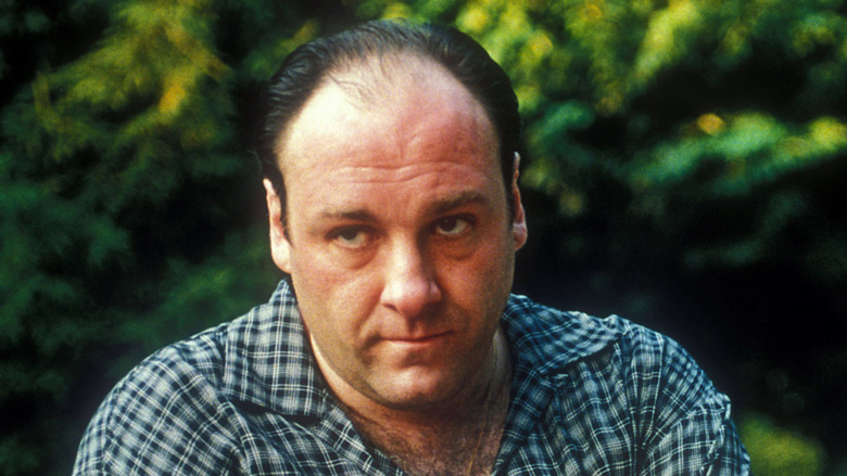 James Gandolfini as Tony Soprano