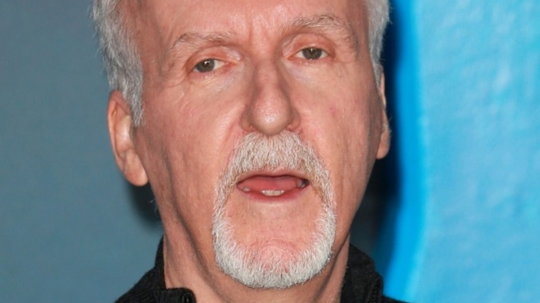 James Cameron at film premiere