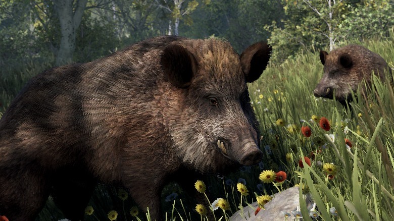 Rust dangerous boars
