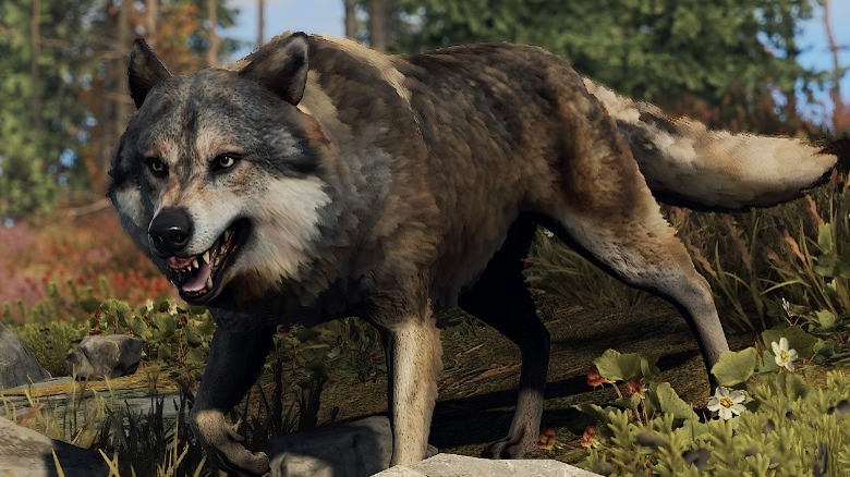 Rust not so friendly wolf