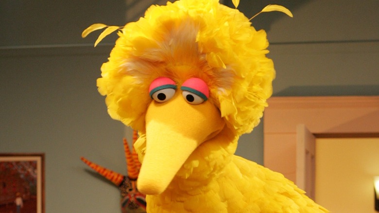 Big Bird