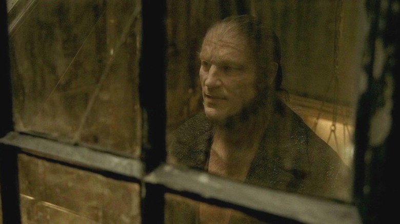 Greyback looking through window
